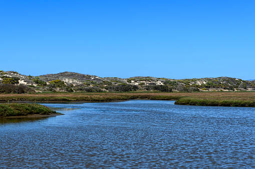 Wide view of Salinas River at moves toward Moss Landing on it's way to the Pacific Ocean.\n\nTaken near Moss Landing California, USA
