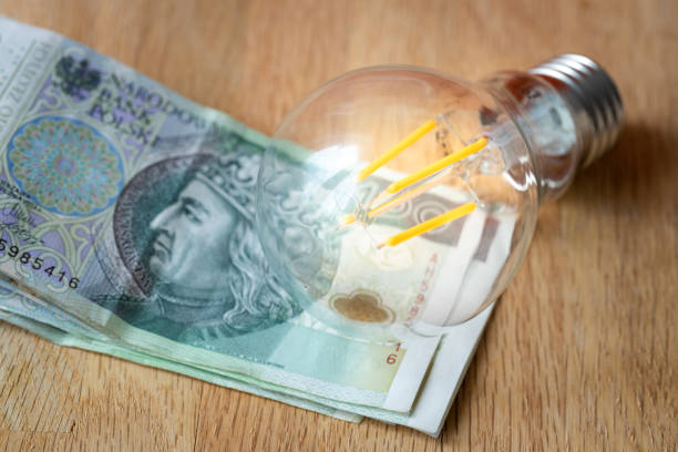 Polish money Several hundred Polish zlotys and a light bulb, the concept of increasing energy and electricity prices in Poland Polish money Several hundred Polish zlotys and a light bulb, the concept of increasing energy and electricity prices in Poland polish zloty stock pictures, royalty-free photos & images