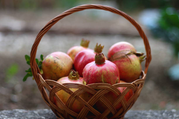 istock Basket of Pomegranates 1427696118