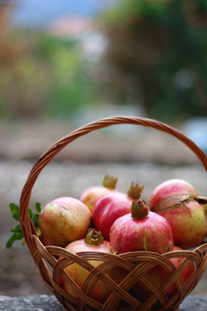 istock Basket of Pomegranates 1427696119