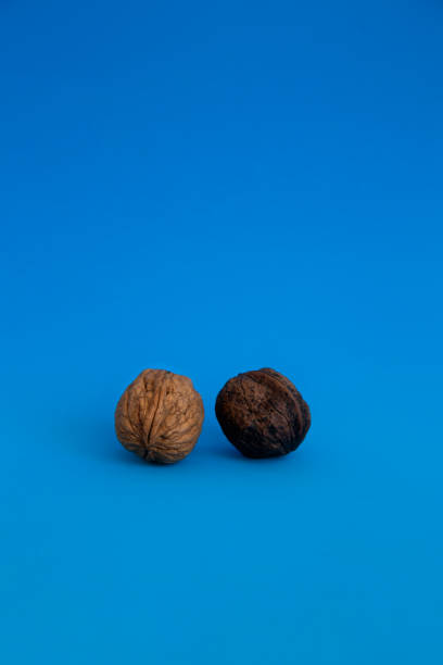 Yellow cocoa pod floating on a blue water pool. High quality photo