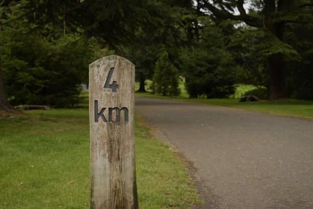istock wooden distance indicator by the road 1427700047