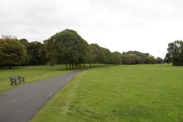 istock vastly stretched greenery in the park 1427700051