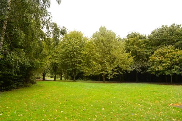 istock abundant greenery in the parkland 1427700608