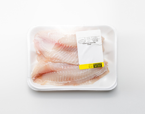 Tilapia in container
