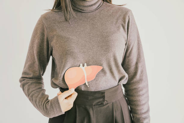 woman holding liver paper cut, hepatitis vaccination, liver cancer treatment, world hepatitis day woman holding liver paper cut, hepatitis vaccination, liver cancer treatment, world hepatitis day hepatitis stock pictures, royalty-free photos & images