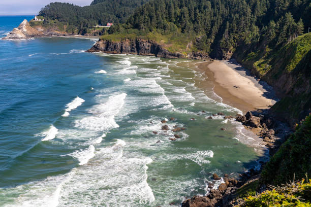 istock The Beach near the Heceta Lighthouse 1427713551