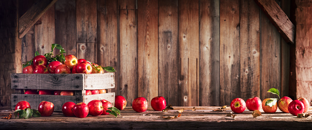 Organic Apples In Wooden Crate On Harvest Table With Rustic Barn Background - Autumn