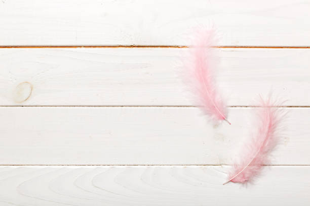 istock background of brightly colored dyed bird feathers on Colored background, top view. Copy space 1427718189