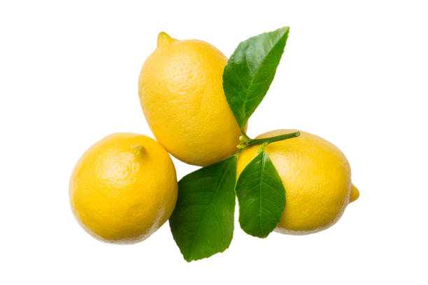istock fresh lemon citrus fruit isolated on white background top view 1427718224