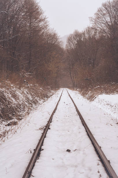 istock Landscape, Winter in forest. Snowy forest. 1427719471