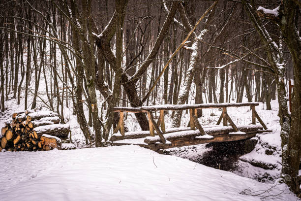 istock Landscape, Winter in forest. Snowy forest. 1427719481