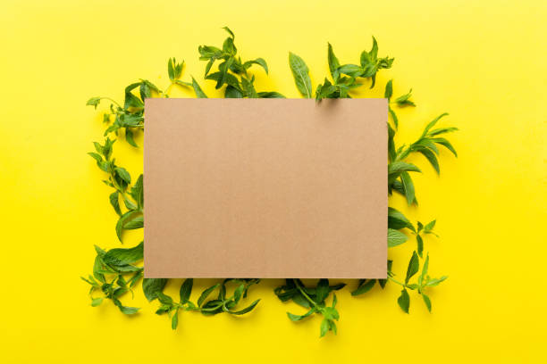 istock Wreath frame made of empty paper blank with space for text and mint leaves on colored background. . Mint Pattern. Flat lay. Top view 1427719657
