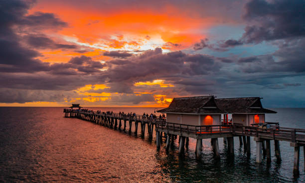 istock Naples Pier, Florida twilight 1427721929