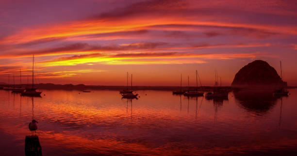 istock Morro Bay, California 1427721947