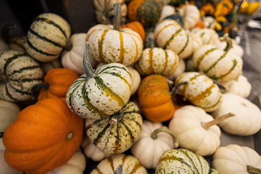 Small Gourds