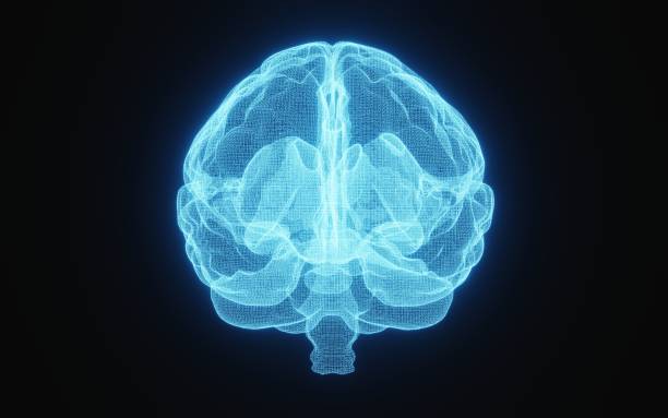 istock Glowing X-ray image of human brain in blue wireframe on isolated black background. Science and medical concept. In front of brain. 3D illustration rendering 1427734568