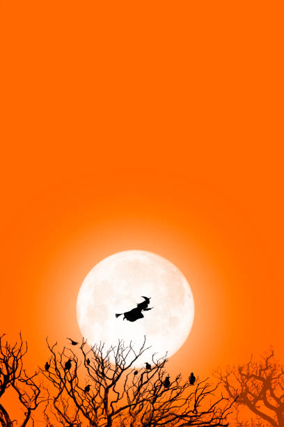 istock Bare Trees And Flying Witch Silhouetted Against Full Moon And Orange Sky 1427782520