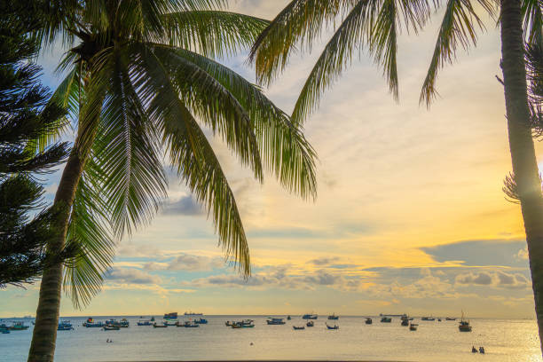istock Summer background with coconut trees and sunset warm tone. Beautiful coconut palm tree in sunny day background. 1427797175