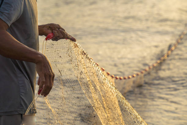 Fisherman casting his net at the sunrise or sunset. Traditional fishermen prepare the fishing net Fisherman casting his net at the sunrise or sunset. Traditional fishermen prepare the fishing net fishing gear stock pictures, royalty-free photos & images