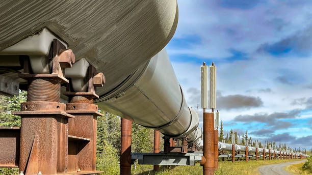 istock Trans Alaskan Pipeline in the interior of Alaska. 1427799736