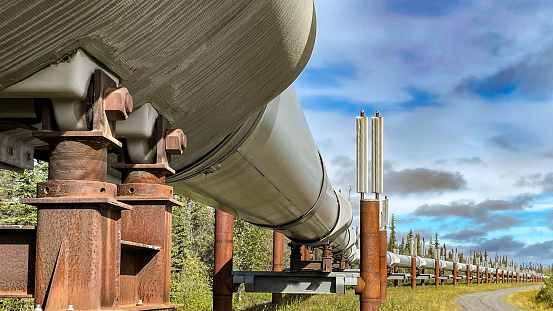 The Trans-Alaskan Pipeline makes its way down the many miles of Alaska. Oil travels from the North Slope of Alaska, down to the Port of Valdez. During this warm season, growth of plant life ads to the beauty surrounding the pipeline.