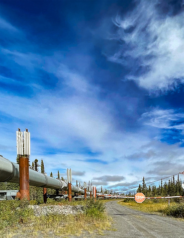 The Trans-Alaskan Pipeline makes its way down the many miles of Alaska. Oil travels from the North Slope of Alaska, down to the Port of Valdez. During this warm season, growth of plant life ads to the beauty surrounding the pipeline.