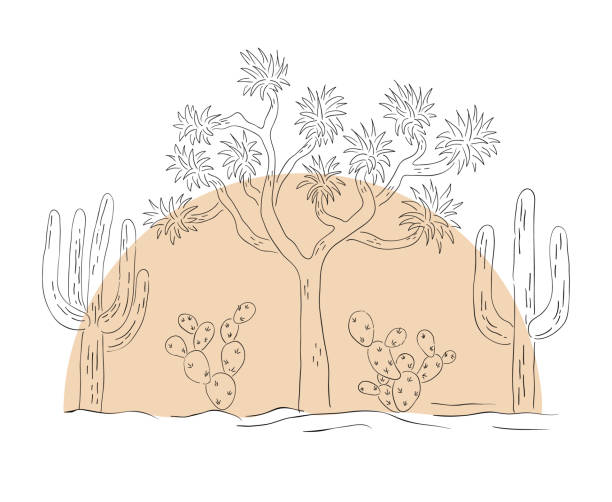 desert hand drawn line art vector illustration - joshua ağacı illüstrasyonlar stock illustrations