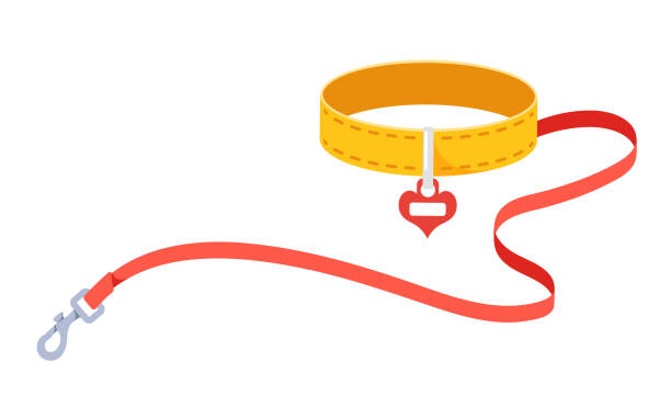 Leash And Collar, Cats Accessory With Heart Label Or Name Plate Isolated On White Background. Equipment For Animal Leash and Collar, Cats Accessory with Heart Label or Name Plate Isolated on White Background. Equipment for Domestic Animal, Feline Belt for Walking. Cartoon Vector Illustration buckle cartoon stock illustrations
