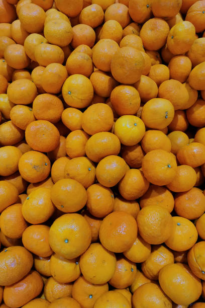 istock close up of orange fruit 1427811022