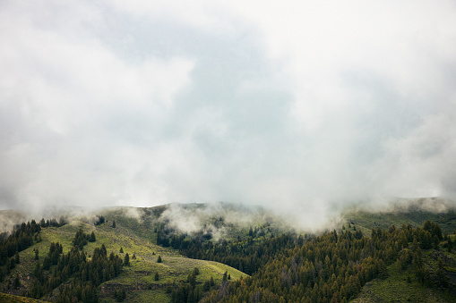 The beauty of the mountains in Idaho.   Morning fog and clouds shroud the green tree dotted hill sides.