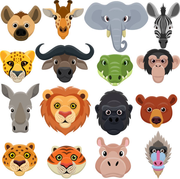 Cute animal head cartoon collection Vector Illustratio of Cute animal head cartoon collection crocodile smile stock illustrations