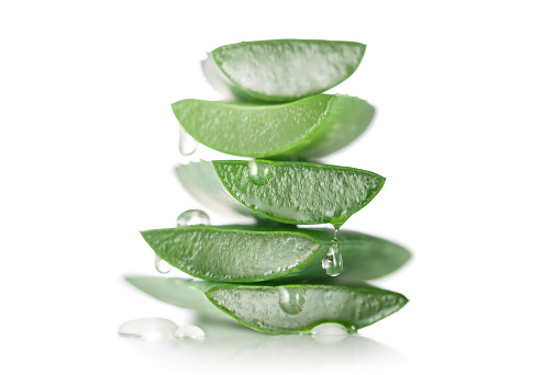 Aloe vera green plant cut pieces leaves juicy isolated on a white background.