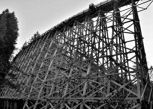 A black and white shot of the Kinsol Trestle, Vancouver Island, BC
