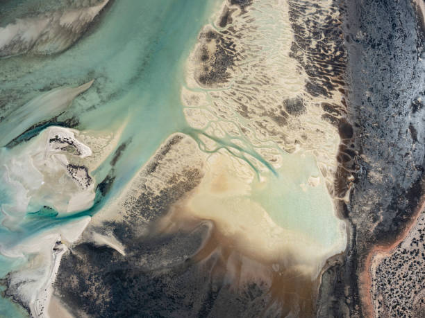 istock Aerial view of tidal dunes and water 1427845749