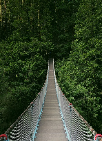 Lynn Canyon Suspension Bridge, North Vancouver, BC, Canada.