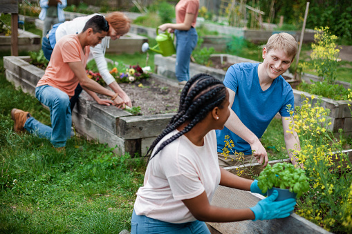 Young multiracial group of volunteers working together teamwork in community garden park in neighborhood environment