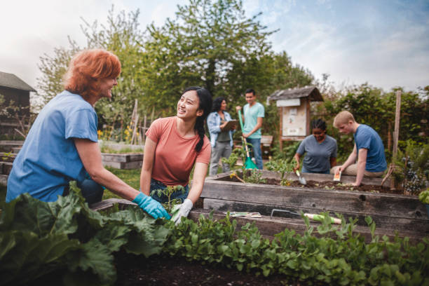 Eine multirassische Gruppe junger Männer und junger Frauen versammelt sich als Freiwillige, um Gemüse im Gemeinschaftsgarten mit Rat und Teamarbeit einer reifen weiblichen Projektmanagerin zu pflanzen – Foto