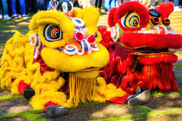 una testa di danza del leone cinese nel festival del capodanno cinese. danza del leone e del drago durante la celebrazione del capodanno cinese. gruppo di persone eseguono una danza tradizionale del leone. - lion dance foto e immagini stock