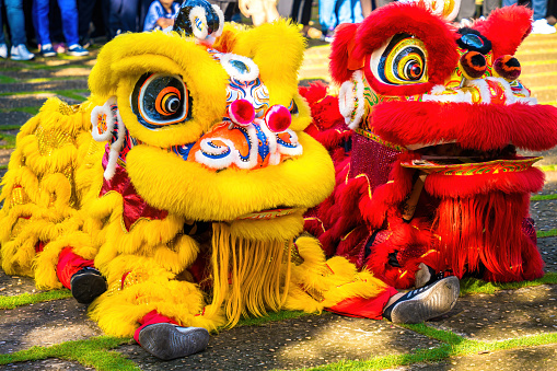 Vung Tau, VIETNAM - SEP 11 2022 : A head of Chinese Lion dance in the Chinese new year festival. Lion and dragon dance during Chinese New Year celebration. Group of people perform a traditional lion dance.
