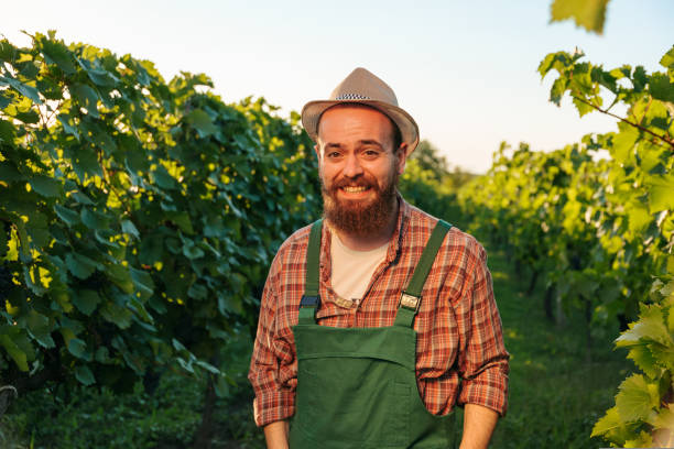 istock Front view look at camera young farmer man winemaker vineyard worker laugh hold hand pockets rest. 1427856352