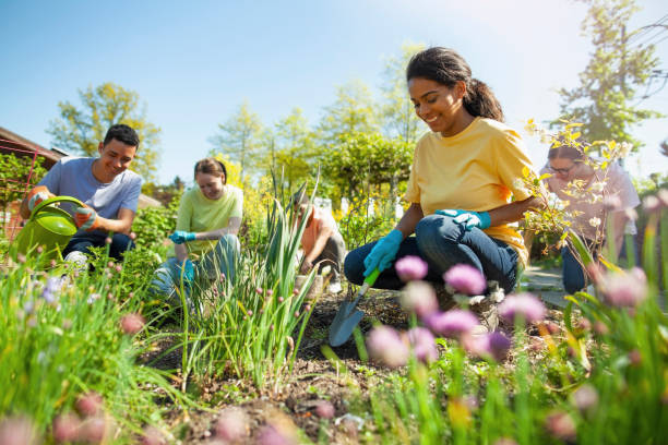 Hispanic young woman student plants flowers in community garden public park together with multiracial group youth organization volunteer charity helping cleanup and grow herbs and vegetables in residential district in summer stock photo
