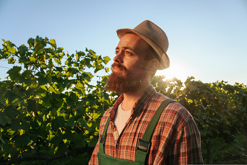 Front view looking into the distance up young man worker winemaker in a hat with a beard enjoys the sun that shines from behind. The winemaker farmer is calm and happy for his work. Copy space.