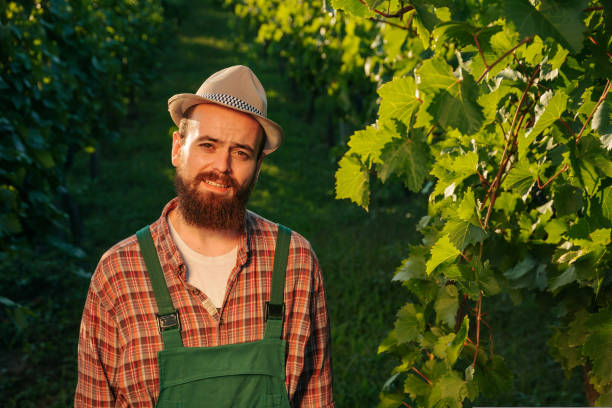 Front view looking at camera young male farmer happy wrinkles forehead bright sun standing in the vineyard and smiling. Winemaker worker on the background of a carpet of green leaves. copy space