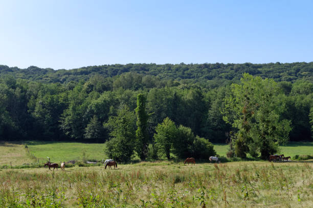 istock Renarde valley in Essonne country 1427861322