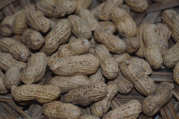 istock Fried peanuts served on a rattan plate 1427870000