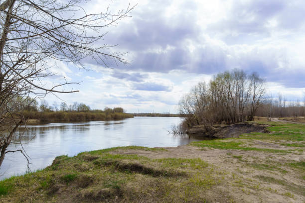 istock Spring landscape with trees by the river and picturesque cloudy sky. Early spring 1427873480