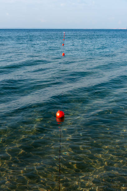 istock Lined up red buoys in the sea 1427876505