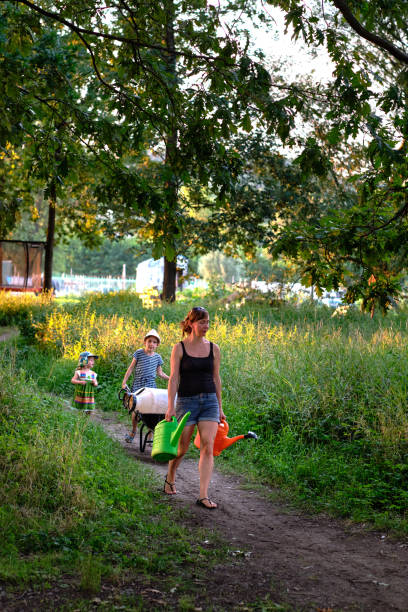 istock Mother with her daughters is walking with water cans in natural setting 1427877784