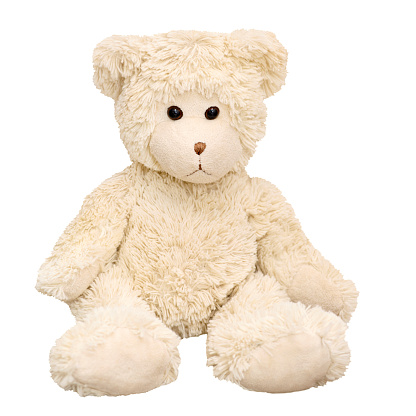 Plush soft bear on a white background